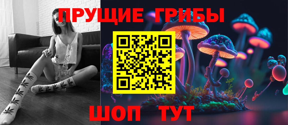 Полевской  Псилоцибиновые грибы Psilocybine cubensis  Вход с VPN 