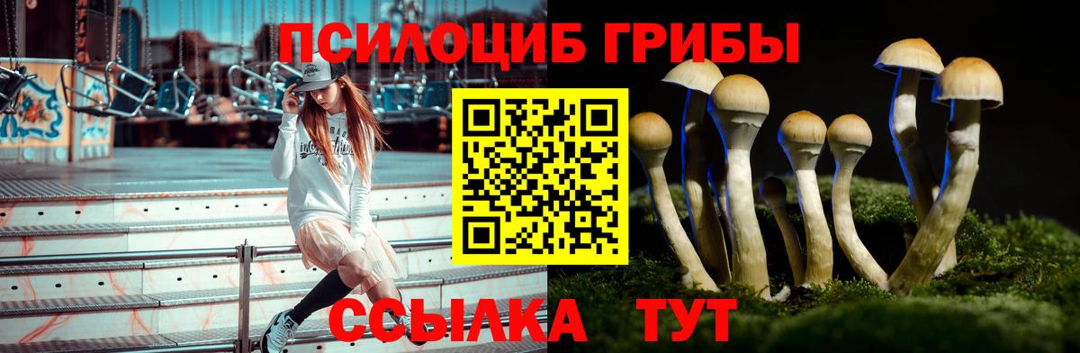 Псилоцибиновые грибы мухоморы Полевской